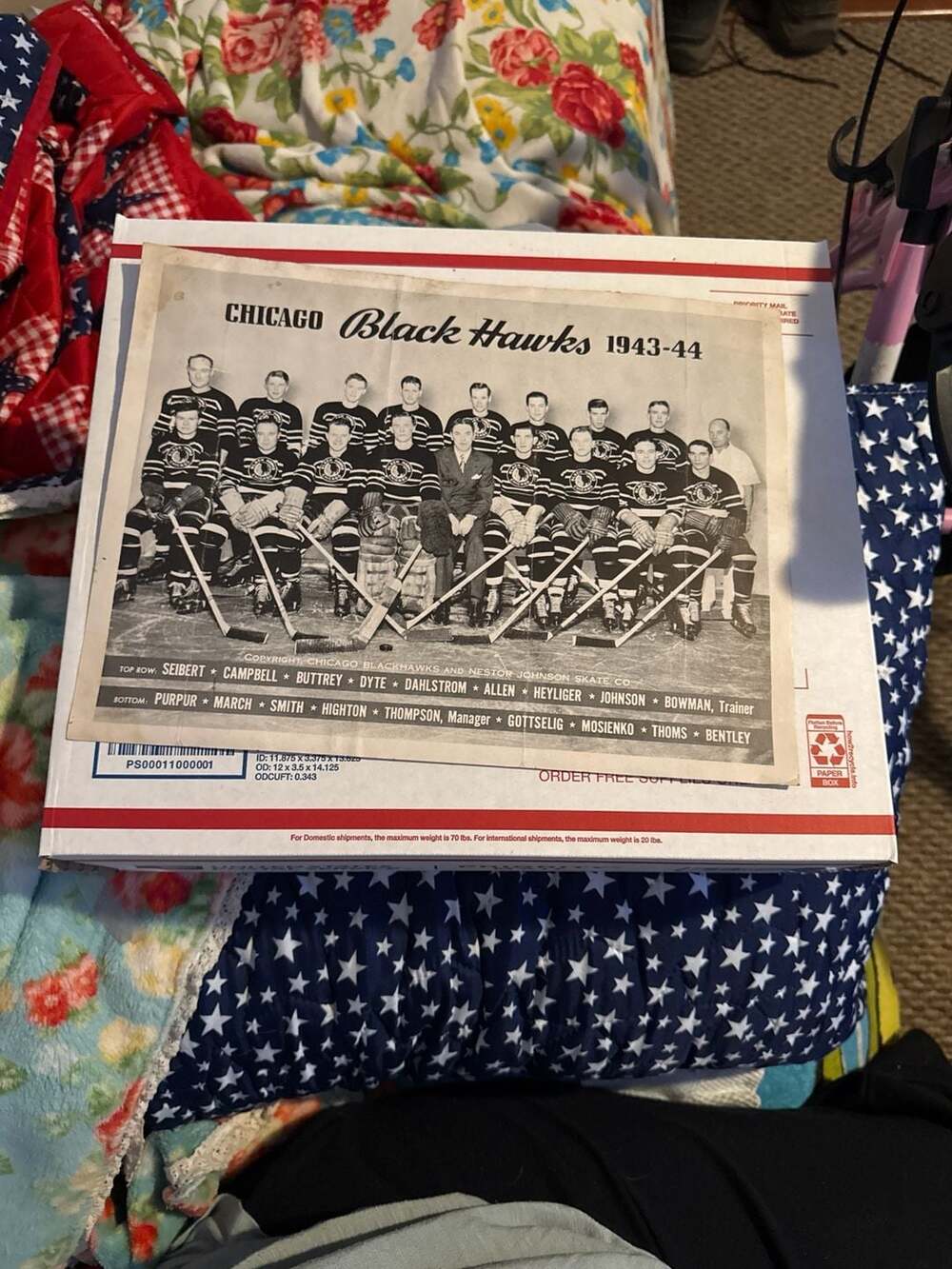 Vintage 1943-44 Chicago Black Hawks Promotional Team Photo Nestor Johnson Skate